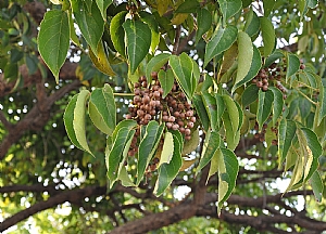 照片2