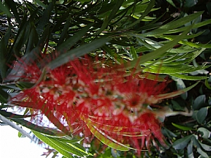 照片2