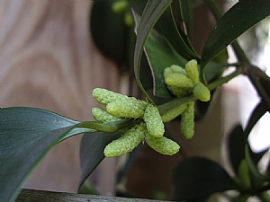 照片2