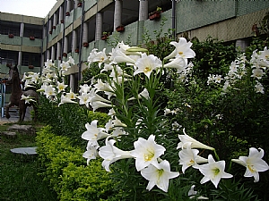 照片2