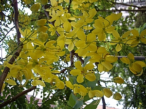 照片2