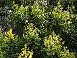 照片2