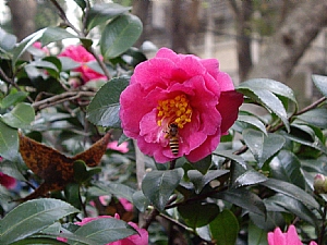 照片2