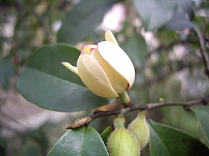 照片2