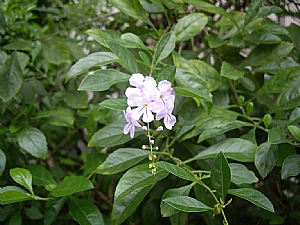 照片2