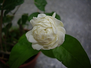 照片2