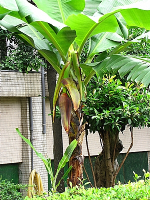 照片2