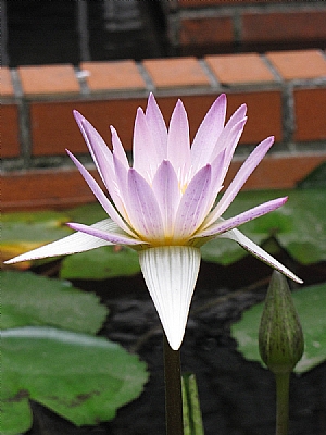 照片2